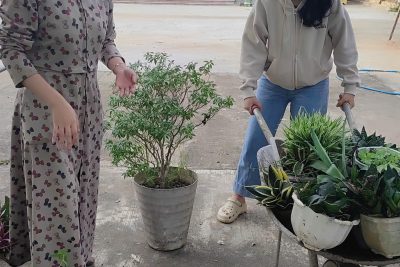 🌿HƯỞNG ỨNG “NGÀY CHỦ NHẬT XANH” 🌿