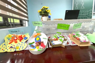 👩‍🏫 HOẠT ĐỘNG STEM CHỦ ĐỀ: THIẾT KẾ MÔ HÌNH CẤU TẠO TẾ BÀO🧬